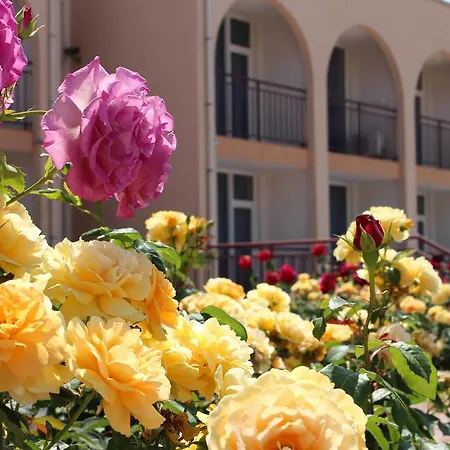 Hera 3* Созополь